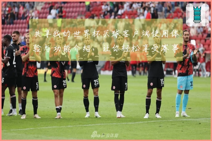 共享我的世界杯买球客户端使用体验与功能介绍，让你轻松享受赛事直播