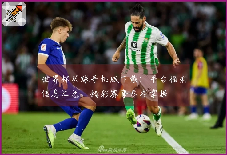 世界杯买球手机版下载：平台福利信息汇总，精彩赛事尽在掌握